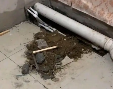 三元卫生间漏水检测哪家好